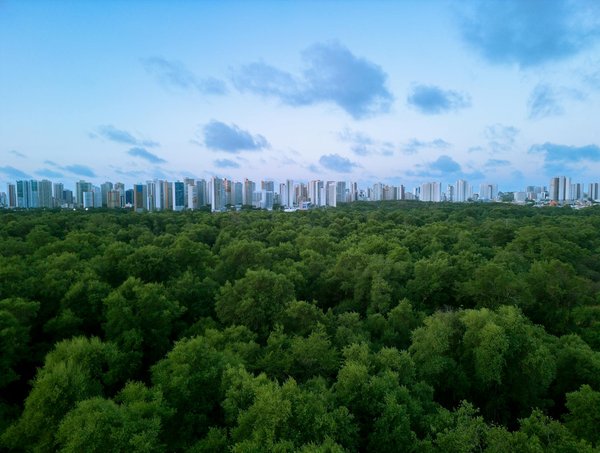 Oser l'aventure entrepreneuriale : un pari de carrière ambitieux