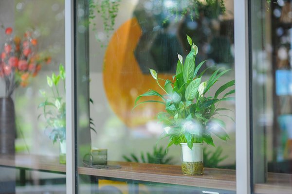 Salaire et Productivité : Quelle est la Nature de Leurs Interactions Réelles ?